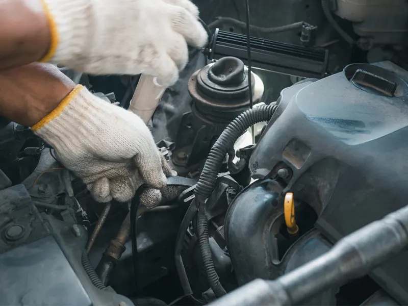 How To Tell If Timing Belt Has Been Changed? CarFinite